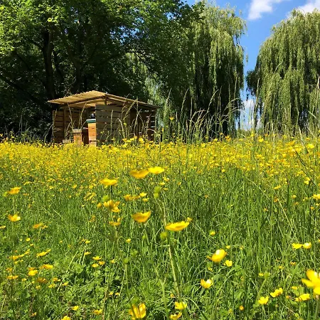 Szálloda Novotel Rotterdam - Schiedam