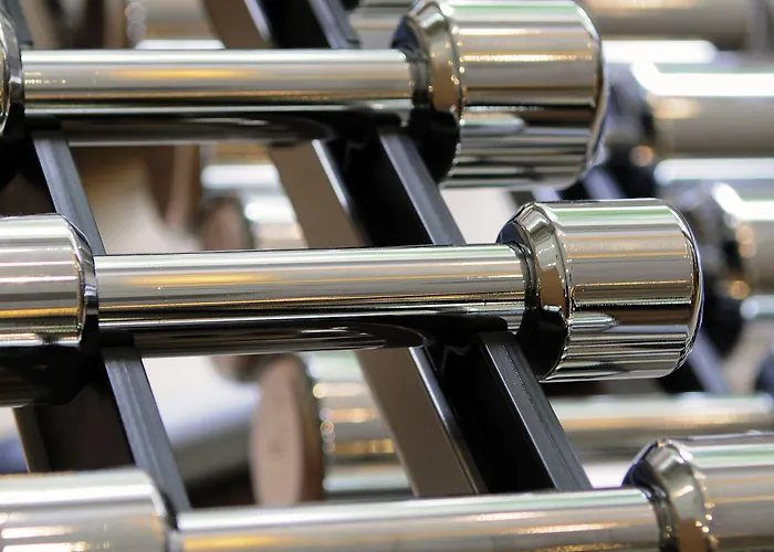 ホテル Novotel Rotterdam - スキーダム