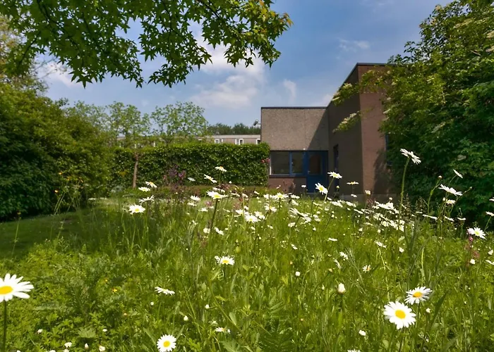 호텔 Novotel Rotterdam - 4*