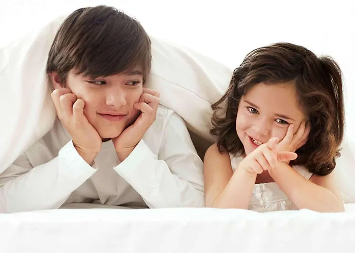 호텔 Novotel Rotterdam - 쉬담