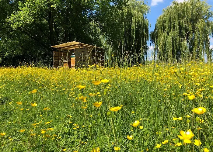 호텔 Novotel Rotterdam - 쉬담